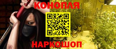 jwh Бийск