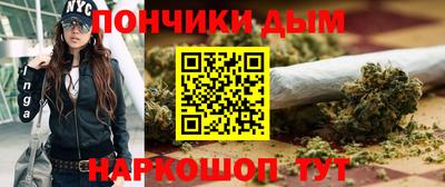 jwh Бийск