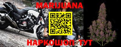 jwh Бийск