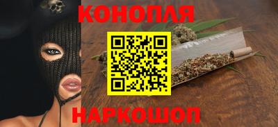 jwh Бийск