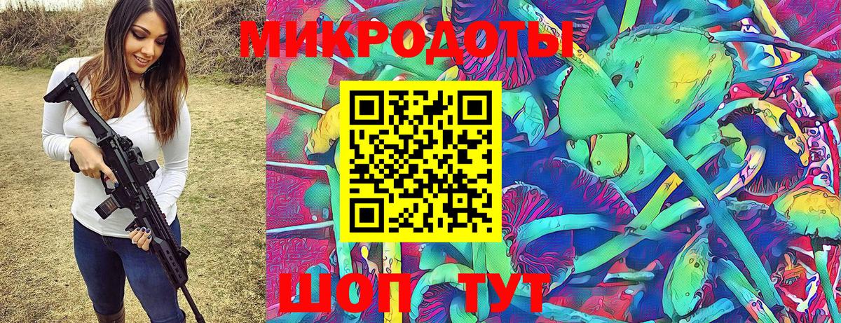 Камышлов  продажа наркотиков  Галлюциногенные грибы Magic Shrooms  Вход с VPN  Псилоцибиновые грибы MAGIC MUSHROOMS 