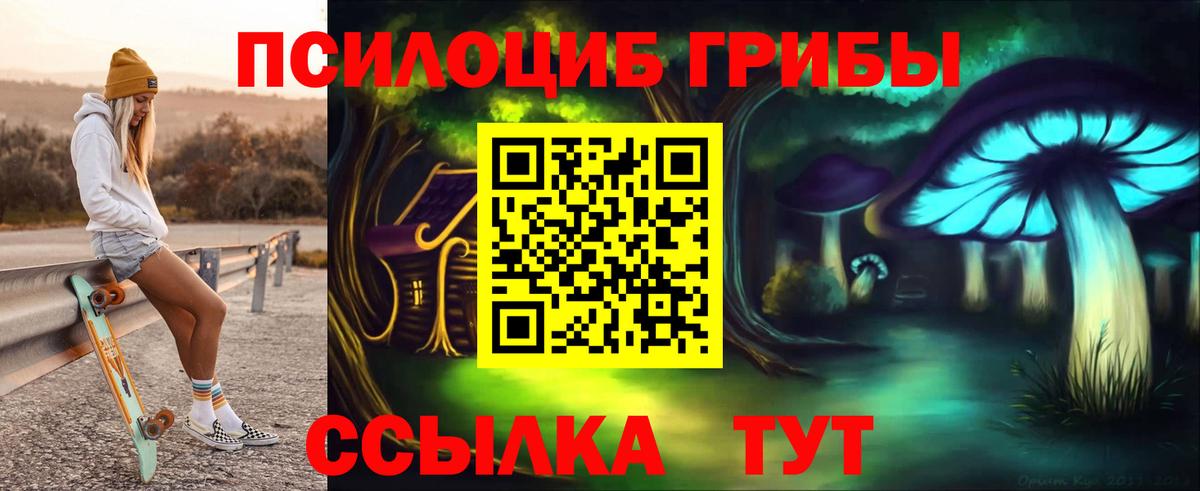 Псилоцибиновые грибы мухоморы Камышлов